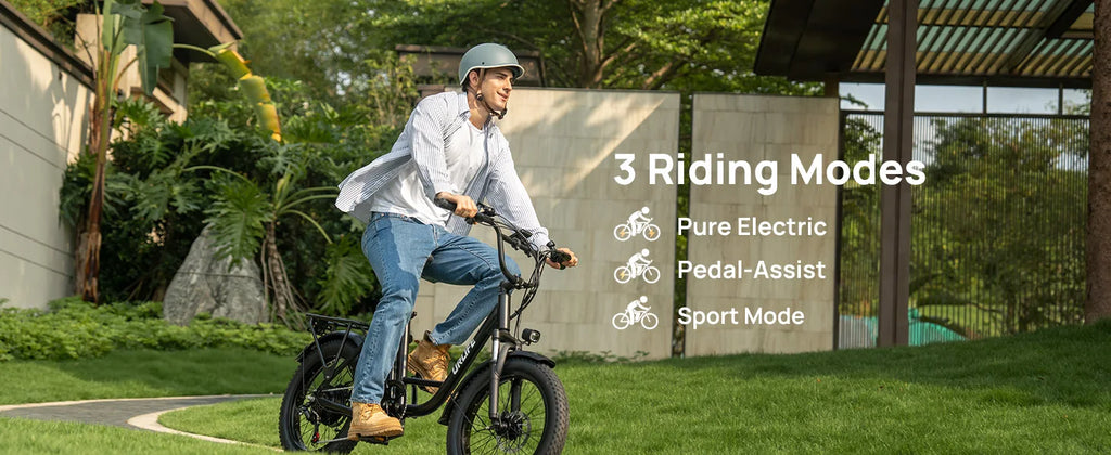 URLIFE 1000W E20 Electric Bike | 48V 13Ah Removable Battery, 28MPH, 20''X3" Fat Tire, 7-Speed E-Bike with Dual Disc Brake